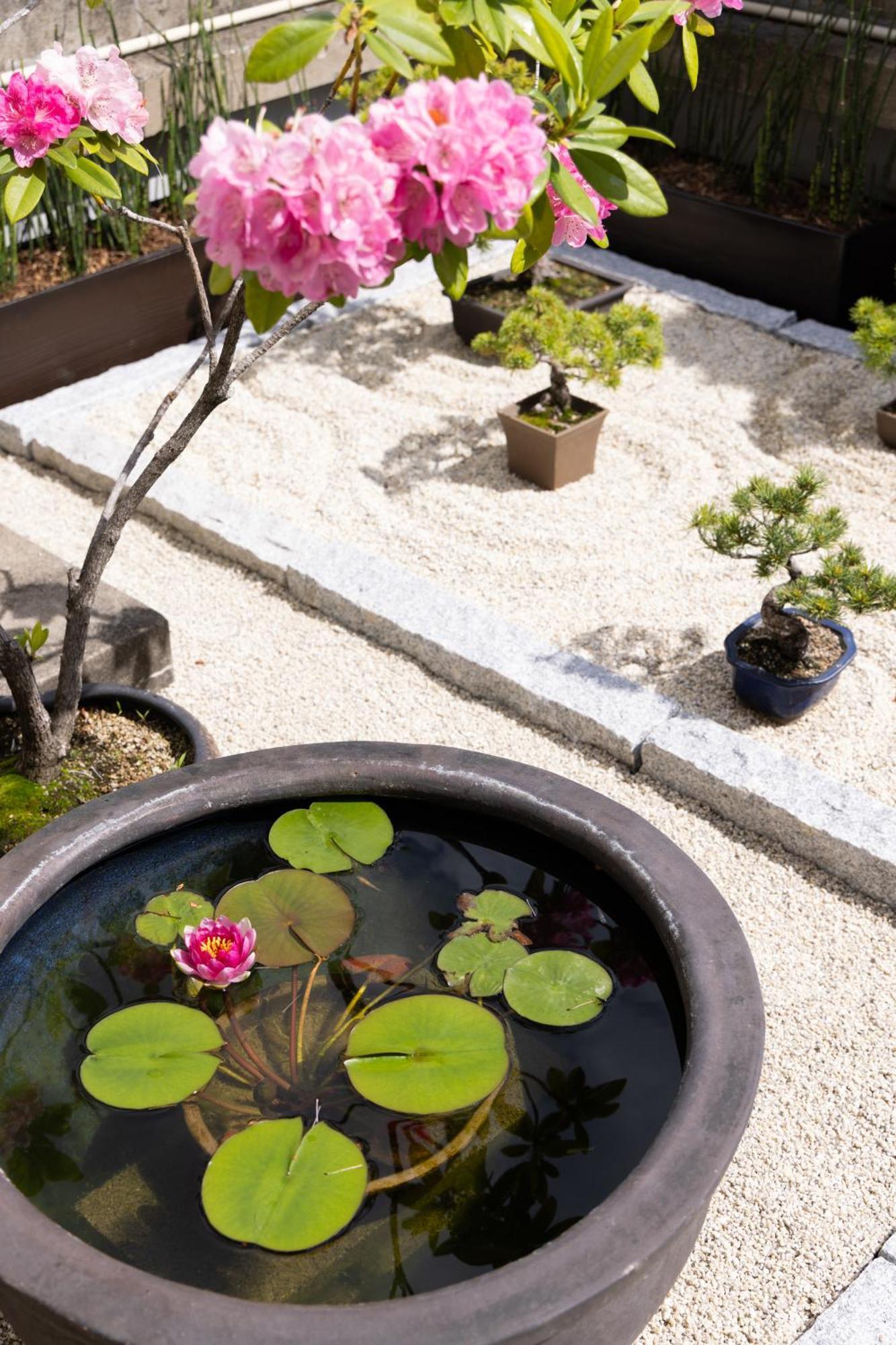 Ryokan Asakusa Shigetsu Τόκιο Εξωτερικό φωτογραφία